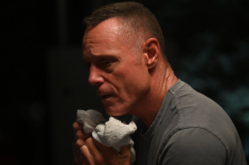 Voight is haunted by an unsolved serial rape case.