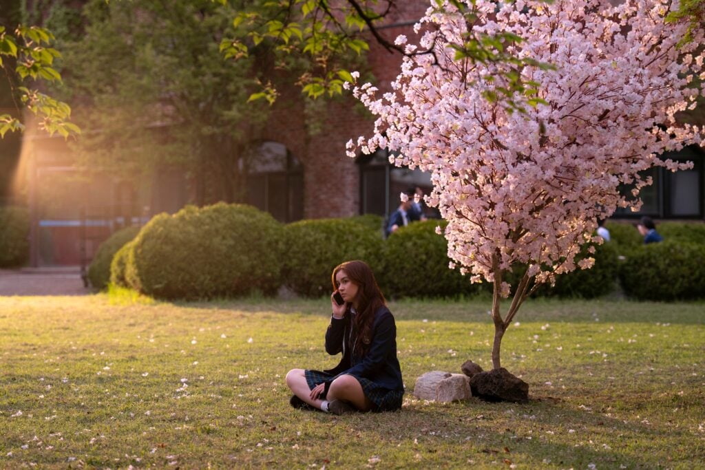 Kitty by the cherry blossom.