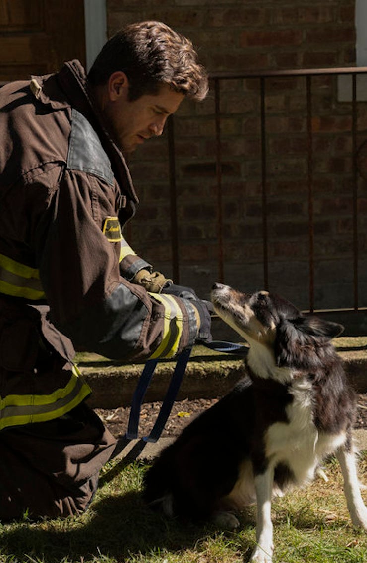 Carver tends to a dog on a call.