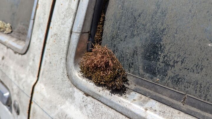 junkyard find 1986 mercury topaz gs lichen this car edition