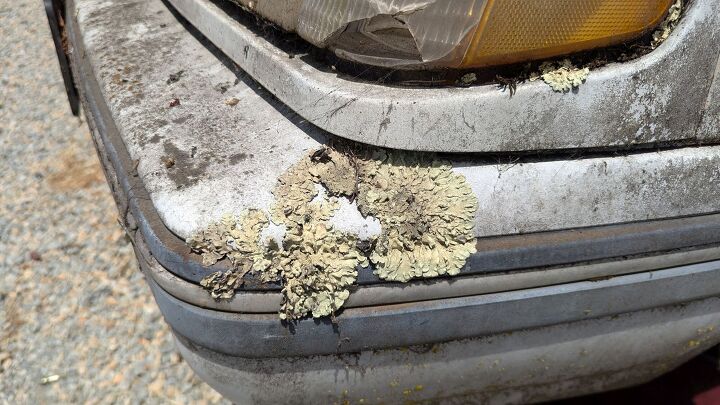 junkyard find 1986 mercury topaz gs lichen this car edition