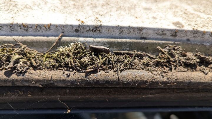 junkyard find 1986 mercury topaz gs lichen this car edition