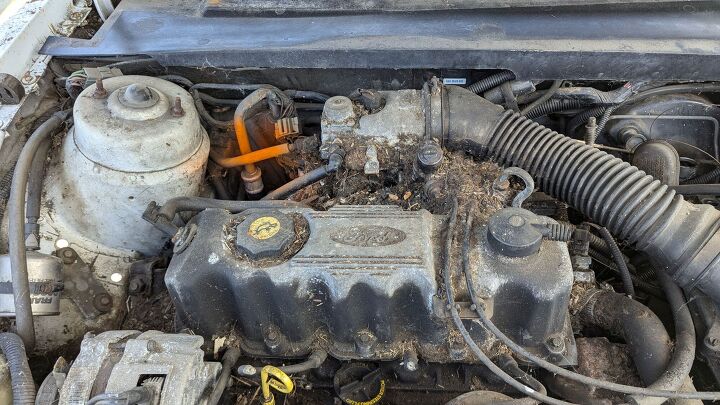 junkyard find 1986 mercury topaz gs lichen this car edition