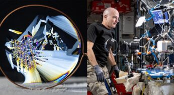 NASA Astronaut Don Pettit Uses His Camera for Science in Space